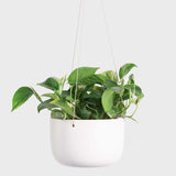 Classic Ceramic Hanging Pot - 6"